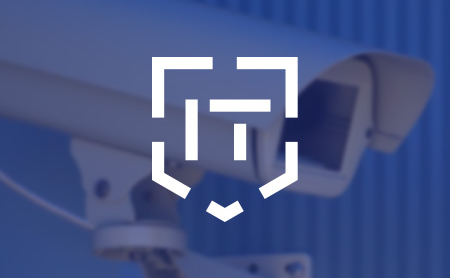IT Maxima Логотип поставщика систем безопасности 